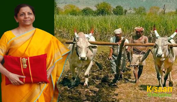 बजट 2021: अब ज्यादा किसानों को मिल सकेगा सस्ता लोन बजट 2021: अब ज्यादा किसानों को मिल सकेगा सस्ता लोन